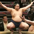 藤青雲　龍輝の顔写真