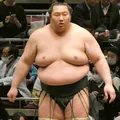白鷹山　亨将の顔写真