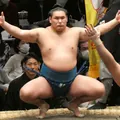 豊昇龍　智勝の顔写真